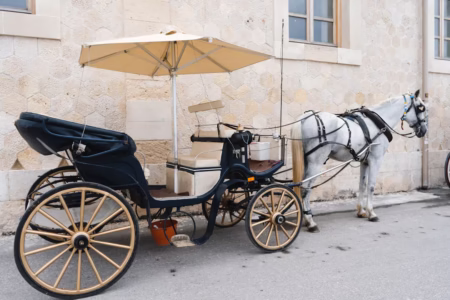 flying horse cart