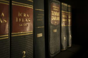 andhra law times