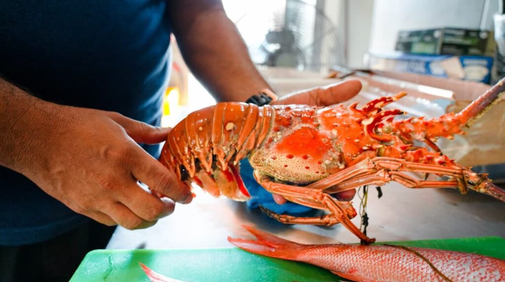 Top#1 Spendless Shrimp Red Lobster – Seafood Feasts